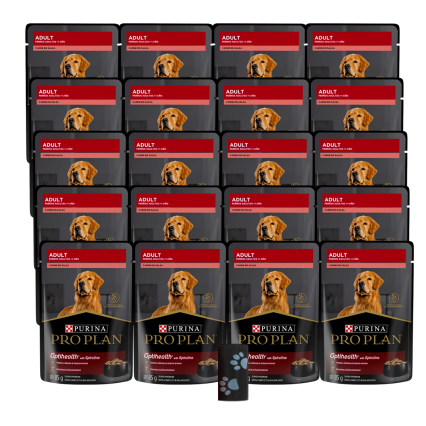 Pro plan pouch adulto sabor carne - 24