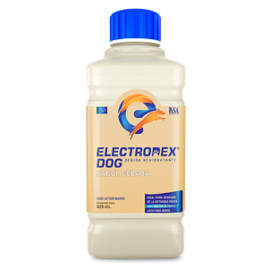 ElectroDex Dog Sabor Cebada 625 mL ( Bebida Rehidratante - Electrolitos)