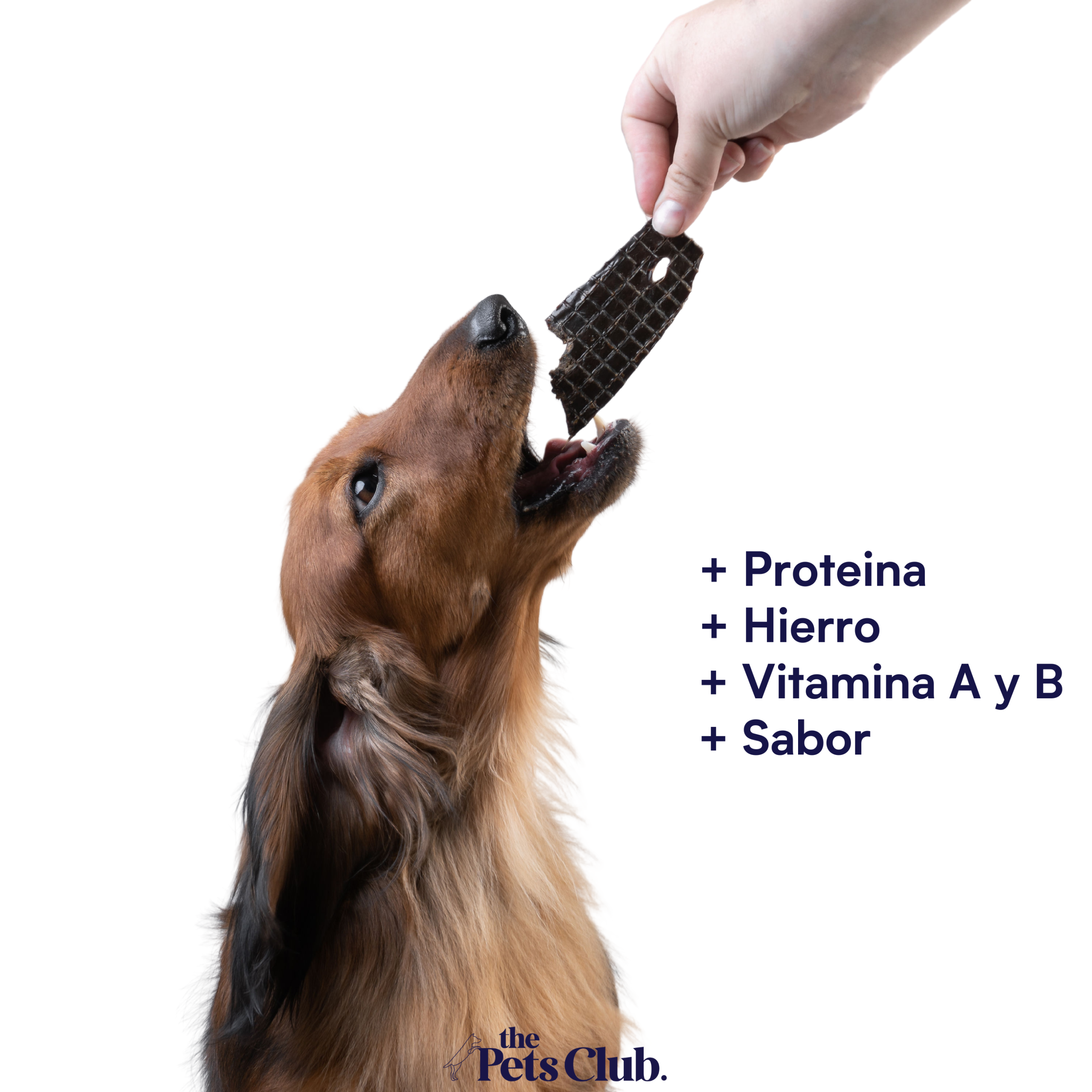 The Pets Club Premios Deshidratados con Sabor Hígado de Res para Perros y Gatos (120 g) - Image 3