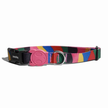 Zee.Dog Collar Chroma