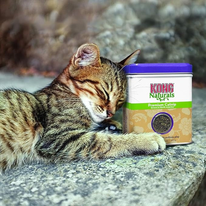 KONG Naturals Catnip 56.7g - Image 3