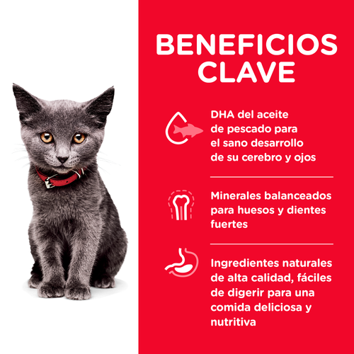 Hill's Science Diet Indoor Kitten Pollo - Bulto - Image 3