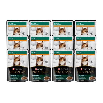 Pro plan pouch gatito - 24