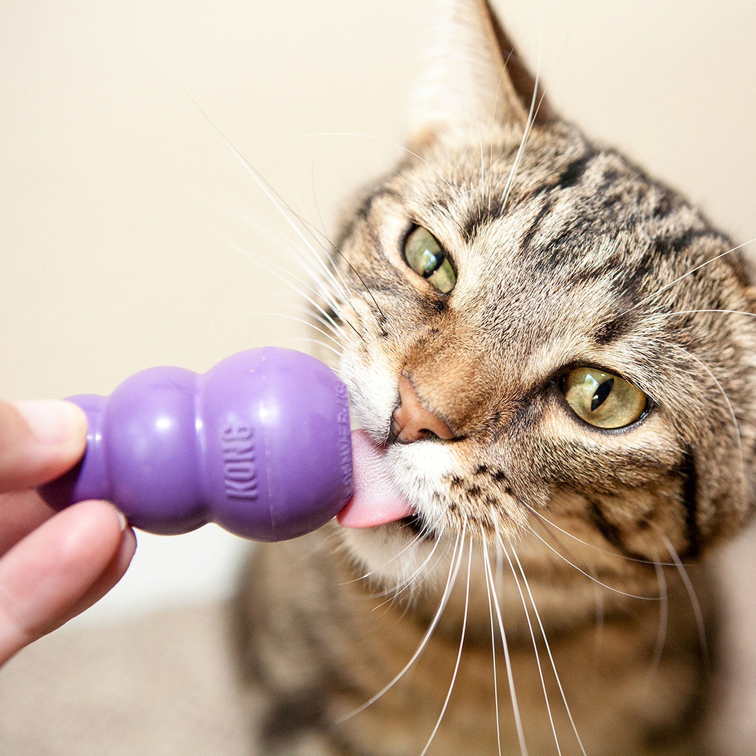 Kong Kitty Kong- Morado - Image 2