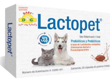 Lactopet Probioticos Oral 20 Cápsulas