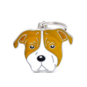 MyFamily -American Staffordshire Terrier