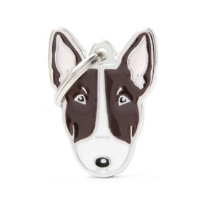 My Family - Bull Terrier
