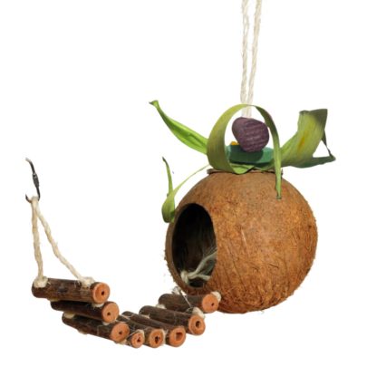 Nido coco