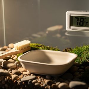 health and hygiene