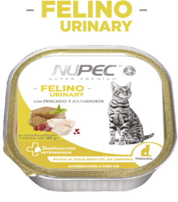 BozQZI_img_urinary_humedo.png