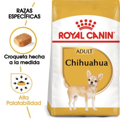 Chihuahua_Adult_Hero_NEW_b8618d24-e1b2-4a46-b9f6-da51c187f68f.jpg