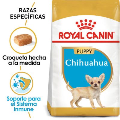 Chihuahua_Puppy_Hero_NEW.jpg