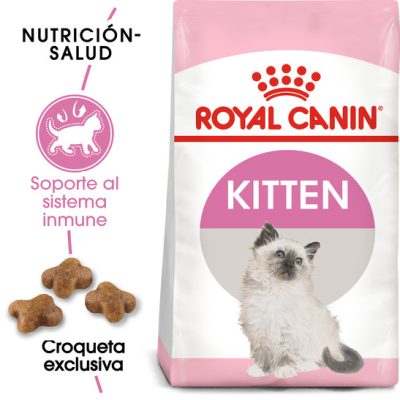 Kitten_Hero_NEW.jpg