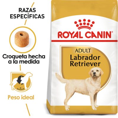 Labrador_Adult_Hero_NEW-1.jpg