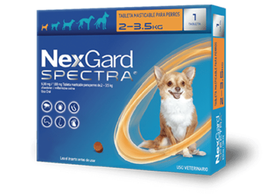 NexGard-Spectra-XS_6bf04fd1-eeb7-4c5d-9265-b3431b8d473d.png