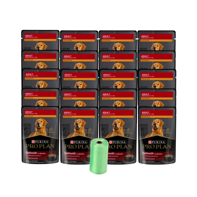 POUCHES_20_ADULTO.png