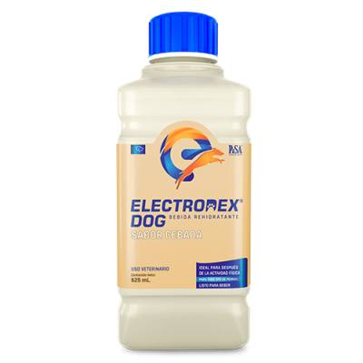 PS_electrodex-v2_CEBADA_digital_1024x1024_2x_ff8e1118-80ed-44cd-8ea7-499657e75873.png