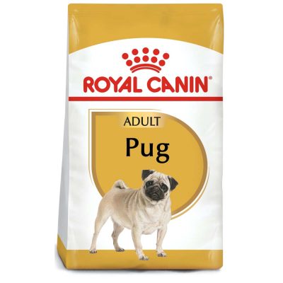 Pug8.jpg