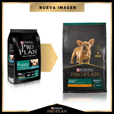 PuppySB-4.jpg