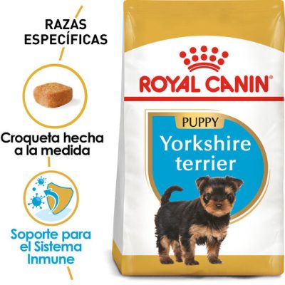 Yorkshire_Puppy_Hero_NEW.jpg
