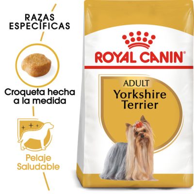 Yorkshire_Terrier_Hero_NEW.jpg