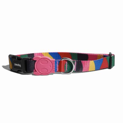 Zee-Dog-Obroza-dla-psa-Chroma-1.jpg