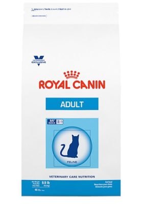 adult-feline-1.jpg