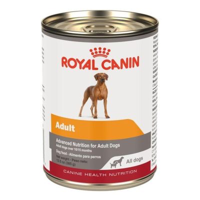 adult-wet-all-dogs-in-gel.jpg