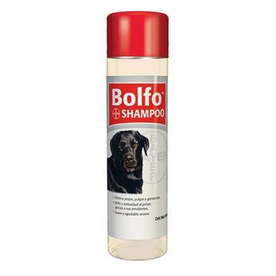 bolfo_shampoo.jpg