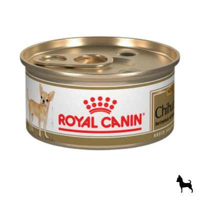 chihuahua_4480x_a1653337-eea0-43e5-bac0-7503ddfa22f6.jpg