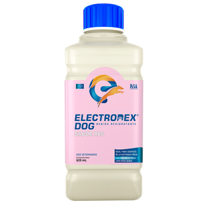 electrodex-carne_web.png