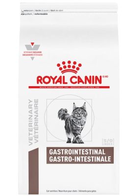gastrointestinal-cat.jpg
