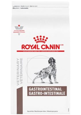 gastrointestinal-dog-4.jpg