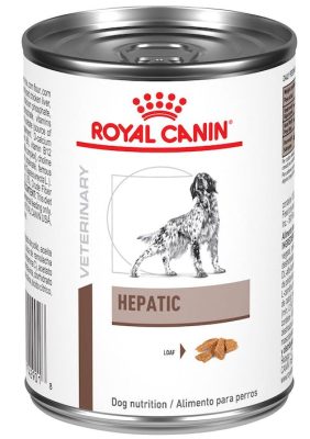 hepatic-dog-wet.jpg