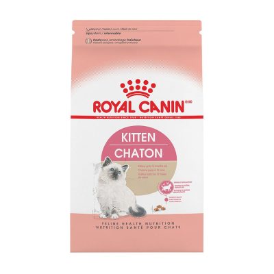 kitten_01_2.jpg