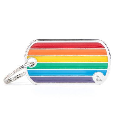 medaglietta-rainbow-bandiera.jpg