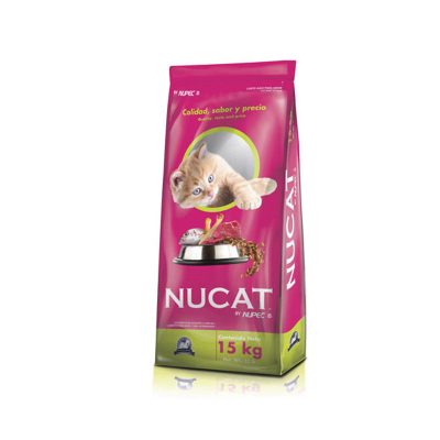 nucat2.jpg