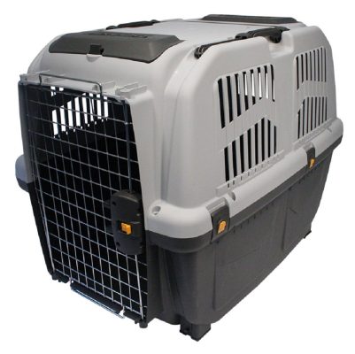 petsy-pemp5659-aaa6aa-1.jpg
