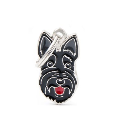 placa-cane-scottish-terrier.jpg