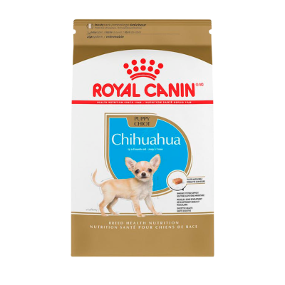 royal-PUPPY-chihuahua-1.14hg.png