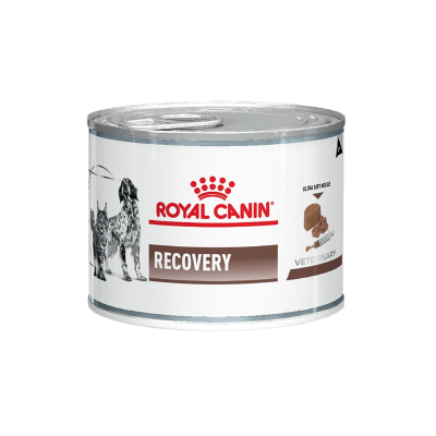 royal-gato-PERRO-lataRECOVERY-150g.png
